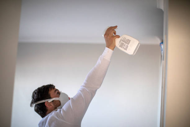Best HVAC Mold Remediation in Borrego Springs, CA