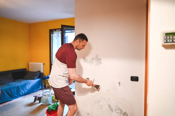 Best White Mold Remediation in Borrego Springs, CA